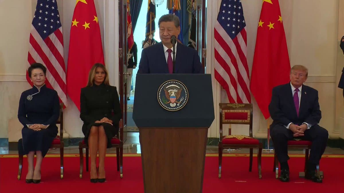 China enviará dos pandas gigantes al zoo de Atlanta: Ping Ping y Fuhuan